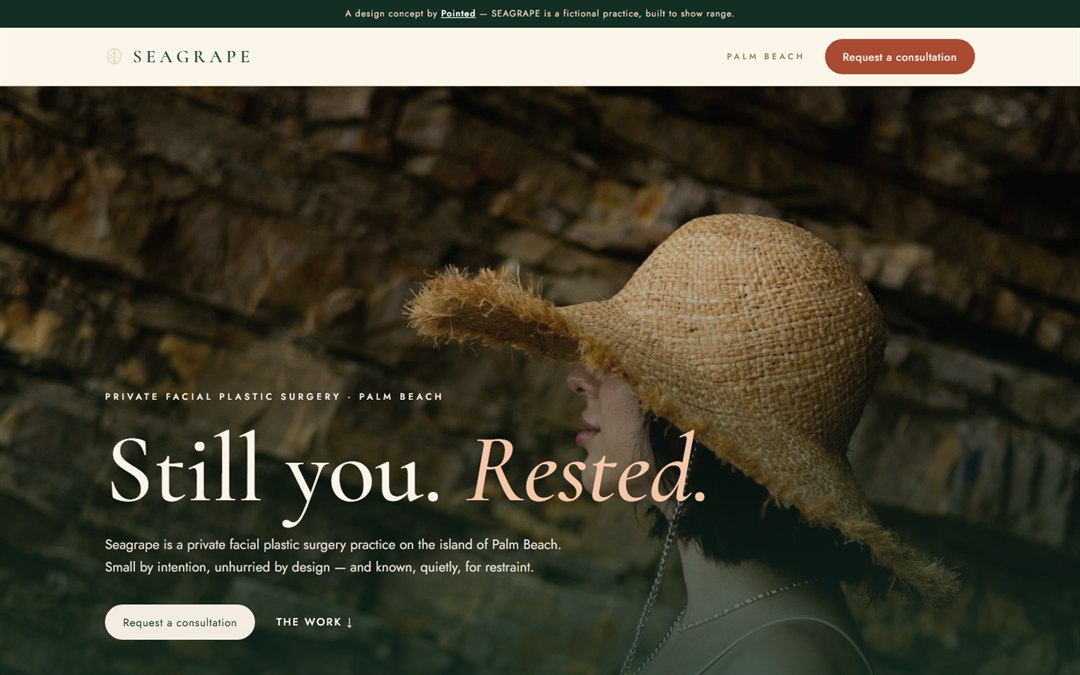 Homepage of Seagrape, a fictional concept practice designed by Pointed